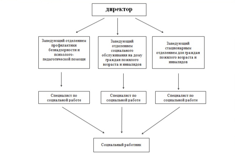 Структура организации
